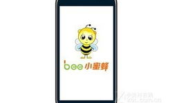 国产精品露脸在线手机视频,畅享视听盛宴，尽在指尖之间